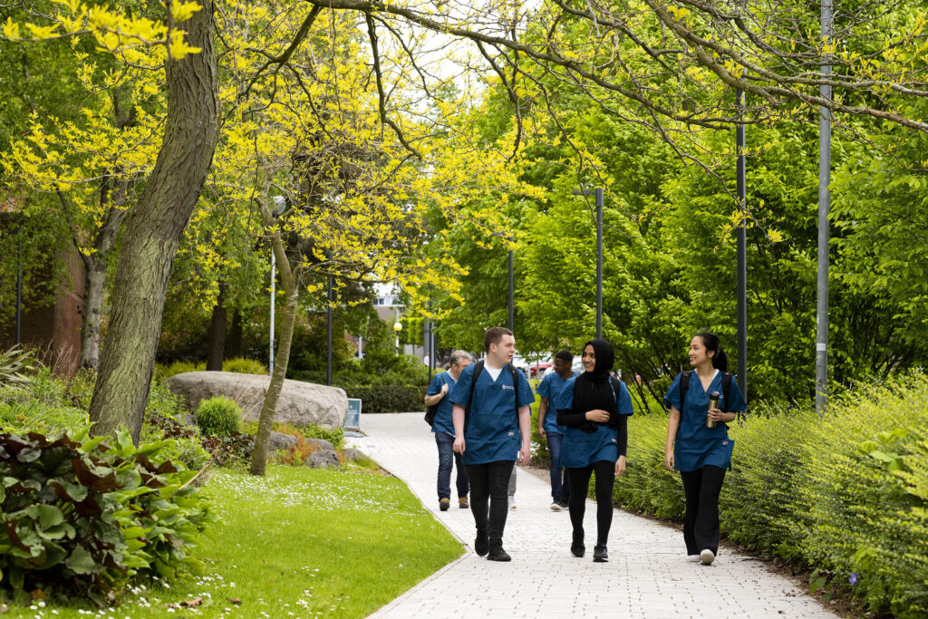 School of Veterinary Medicine resize